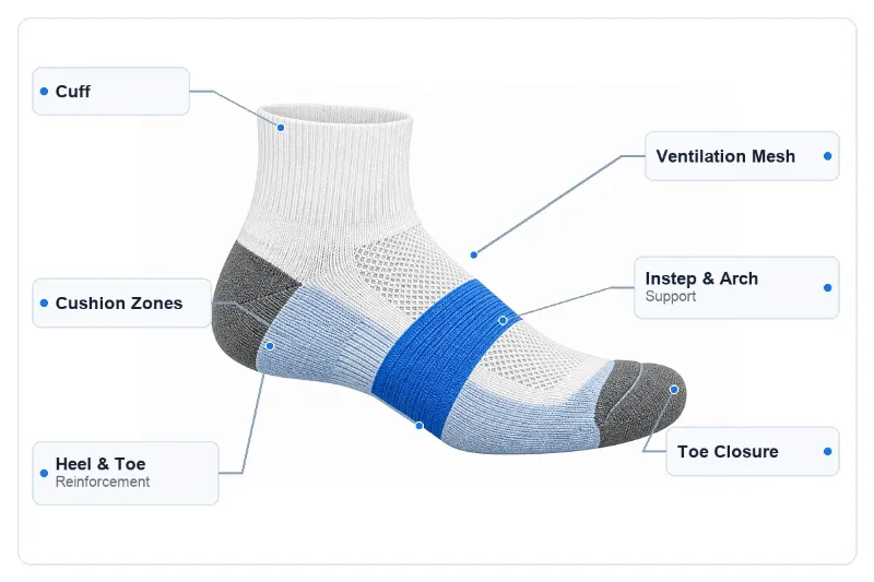Running sock anatomy with cushioning ventilation and toe construction