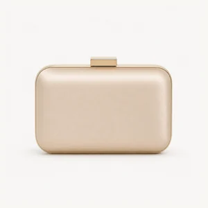Hard minaudiere evening bag with decorative clasp